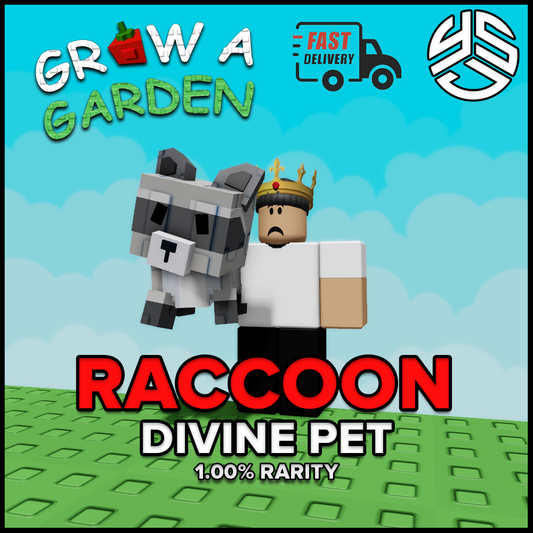 RACCOON [DIVINE]